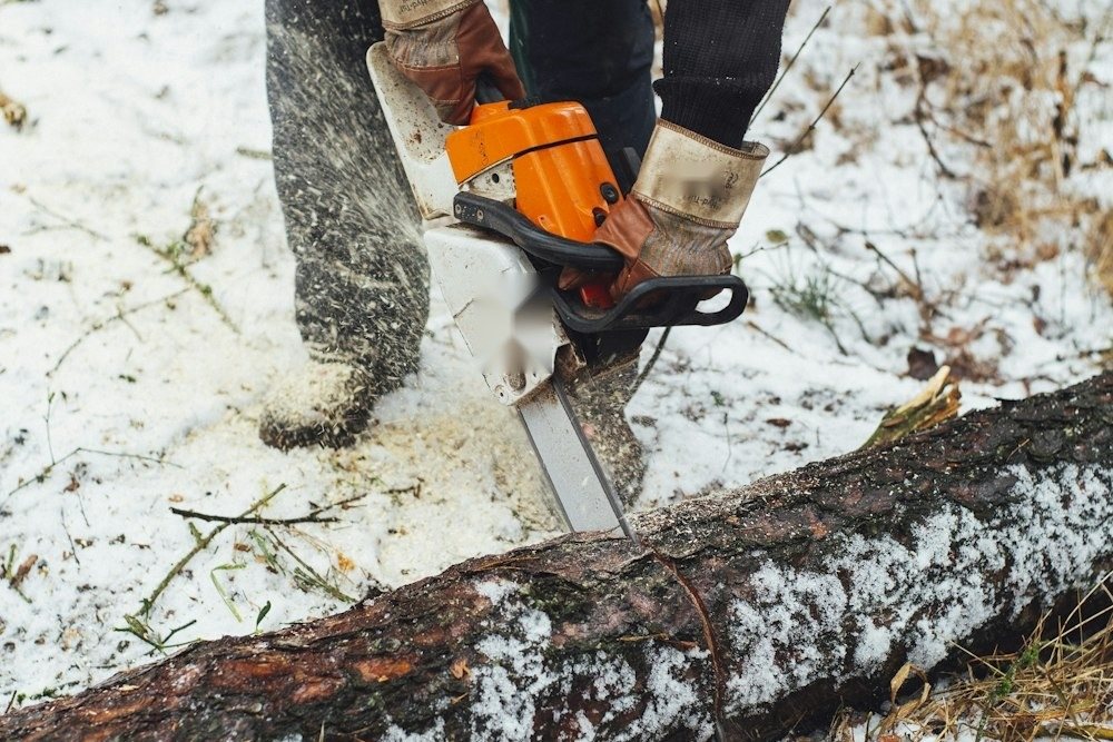 A chainsaw cutting through a tree trunk, sawdust spraying