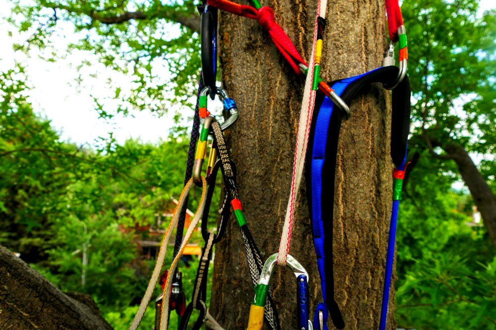 A climber in a helmet and safety glasses roped in against a trunk, reaching for a limb
