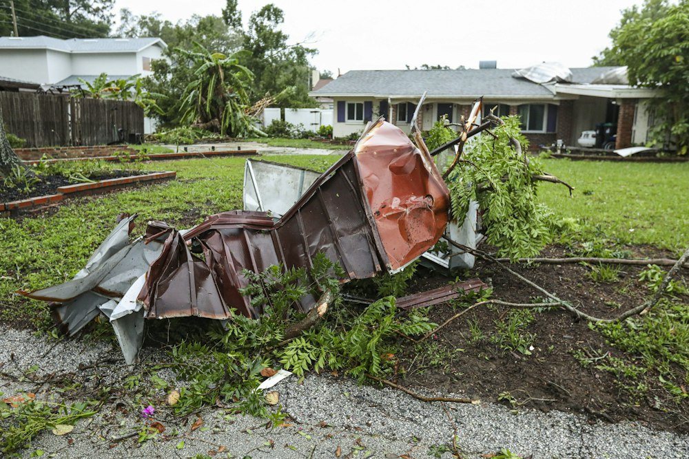 A fallen tree trunk lying across a lawn at the edge of the woods after a storm