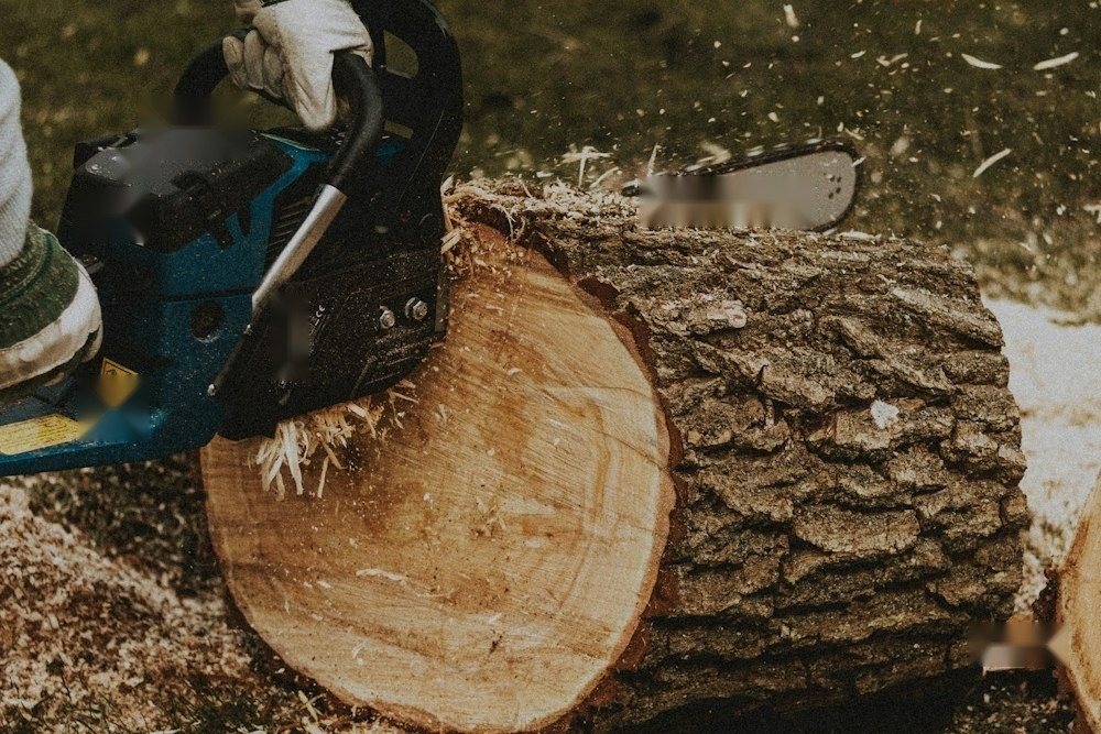 Hands gripping a chainsaw beside a felled trunk during a removal