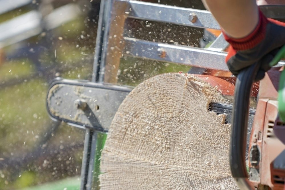 A climber cutting the top off a trunk, sawdust spraying from the saw