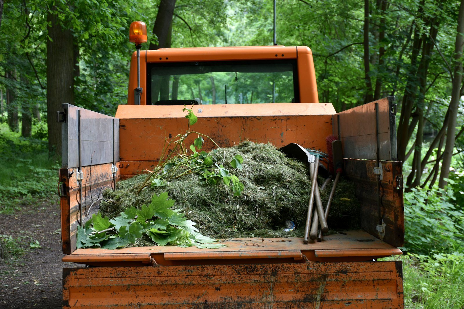 Limbs being fed into a wood chipper at the curb